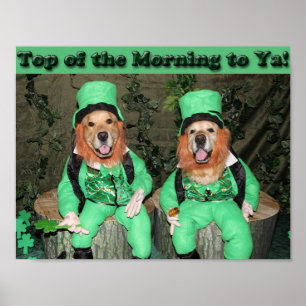 Poster Golden Retriever Top of the Morning Leprechauns