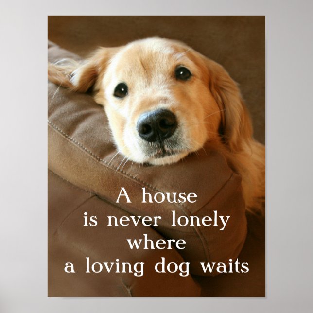 Poster Golden Retriever Une Maison N'Est Jamais Seule (Devant)