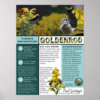Poster Goldenrod Malentendus et faits Thème bleu