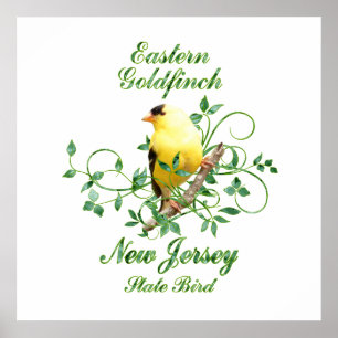 Poster Goldfinch New Jersey State Bird