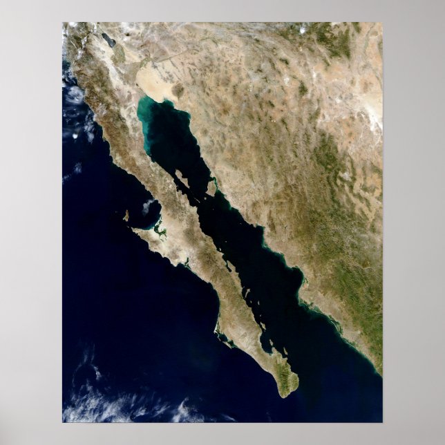 Poster Golfe de Californie (Devant)