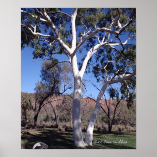 Poster Gomme fantôme en Alice