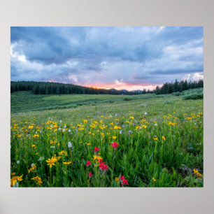 Poster Good Morning Meadow,