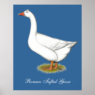 Poster Goose Roman Tufted