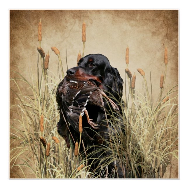 Poster Gordon Setter, Chasse de canard Tapestry (Devant)
