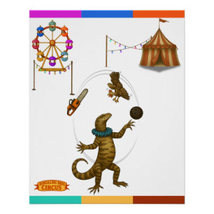 Poster Gordy, jongleur de goannas