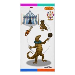 Poster Gordy, jongleur de goannas