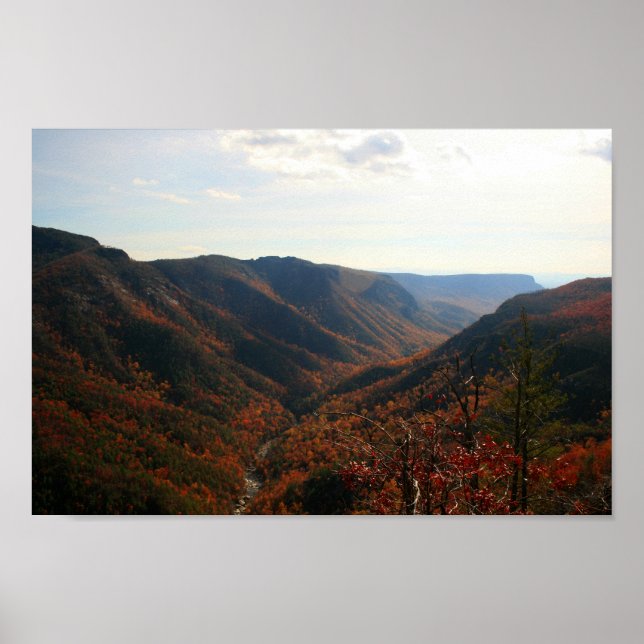 Poster Gorge de Linville en automne, Caroline du Nord (Devant)