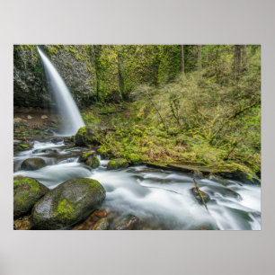 Poster Gorge du fleuve Columbia, chutes Ponytail