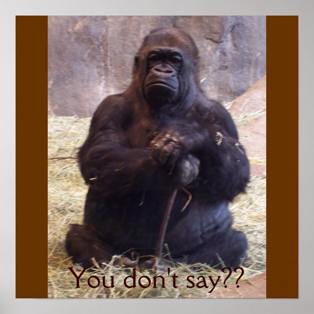 Poster Gorilla (Devant)