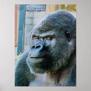POSTER GORILLA