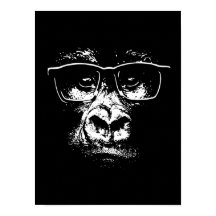 Gorilla de verre