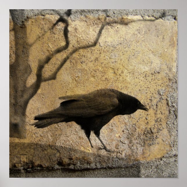 Poster Gothique Caw (Devant)