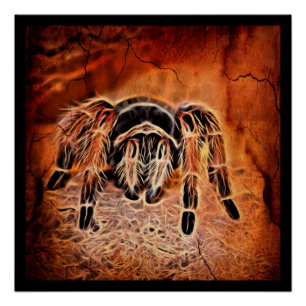 Poster Gothique Halloween déplaisante ramponnerie Tarantu
