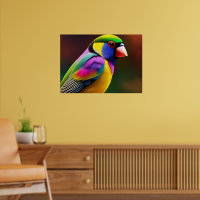 Poster Gouldian Finch
