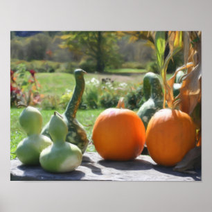Poster Gourds Géants Peinture Citrouille Photo