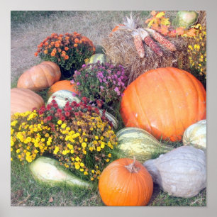 Poster Gourmets et Citrouille