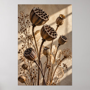 Poster Gousses de graines de lotus séchées dans la lumièr