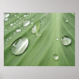 Poster Goutte à goutte