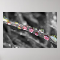 Goutte-à-goutte colorful drops-gout