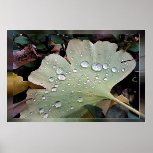 Poster Gouttes de pluie