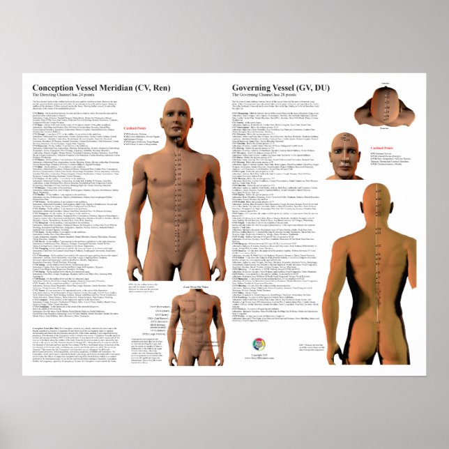 Poster Governing Meridian Acupuncture Points (Devant)