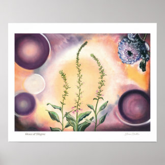 Poster Grâce de Filigrane 