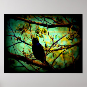 Poster Grackle
