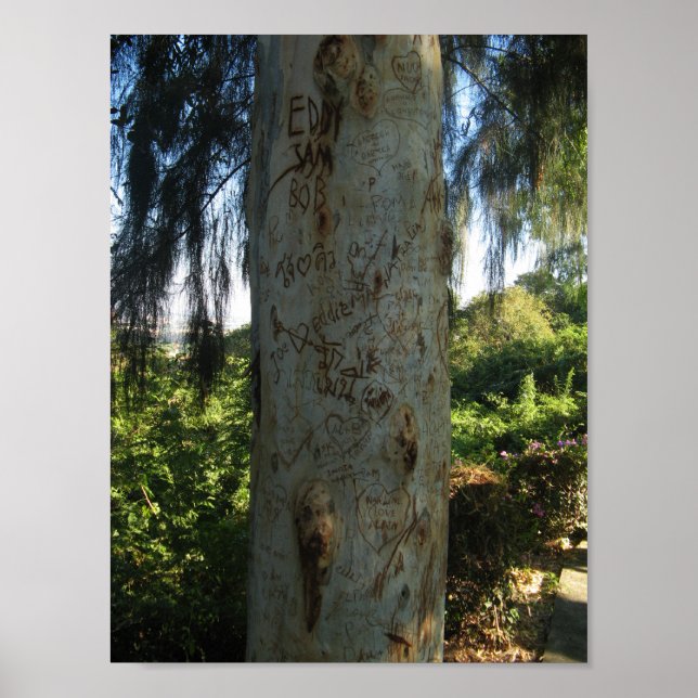 Poster Graffiti thaïlandais (Devant)