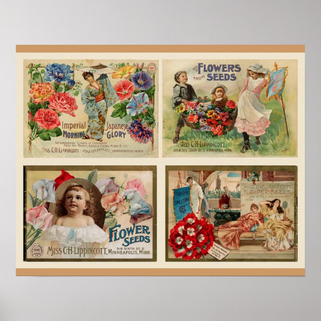 Poster Graines de fleurs Collage Vintage (Devant)