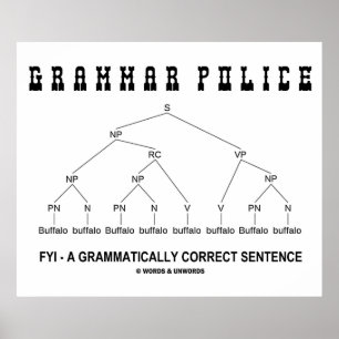 Poster Grammar Police (Buffalo 8 Fois La Peine Correcte)