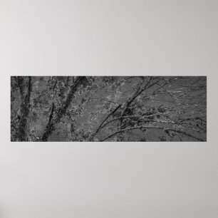Poster Grand arbre noir et blanc photo panoramique