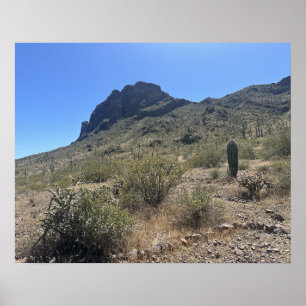 Poster Grand Arizona Desert Picacho Peak State Park