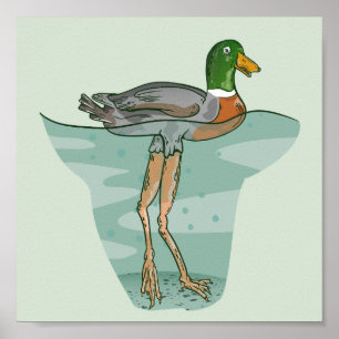 Poster Grand canard aux jambes longues