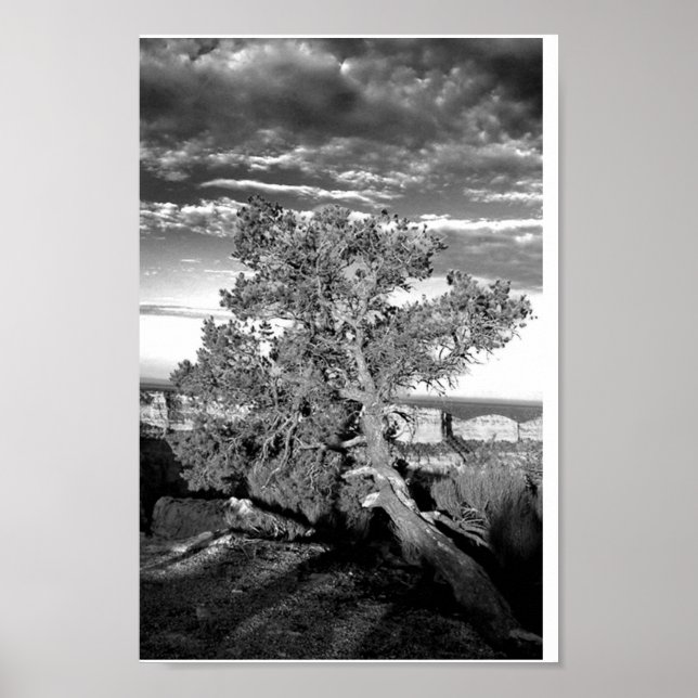 Poster Grand Canyon 03 (Devant)