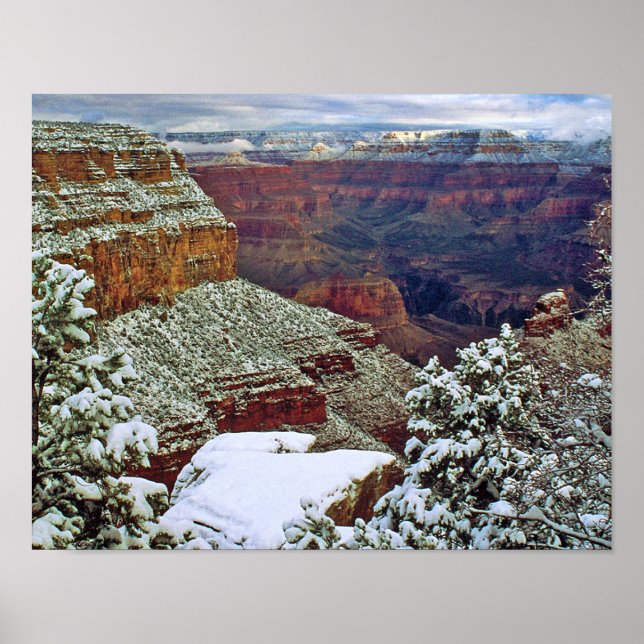 Poster Grand Canyon en hiver (Devant)