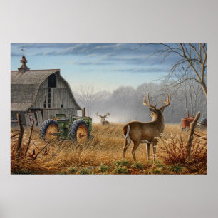 Poster Grand Cerf Buck Confrontation à la ferme