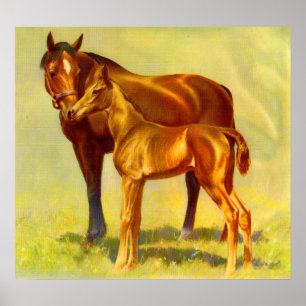 Poster grand cheval petit cheval