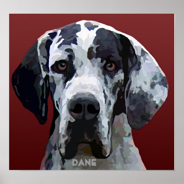 Poster Grand Dane Harly Face (Devant)