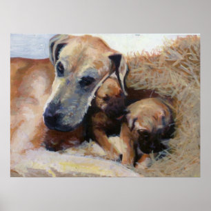 Poster Grand Dane Portrait de chien