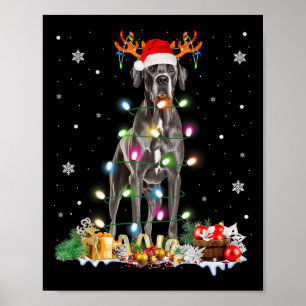 Poster Grand Danse Noël Santa Hat Fairy Lights Pyjama