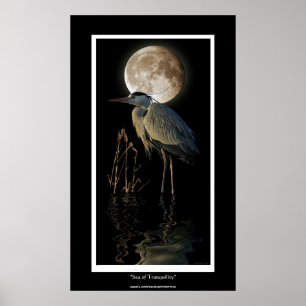 Poster GRAND HERON BLEU, REEDS & MOON Art Imprimer