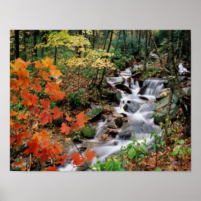 Poster Grand-père (Devant)