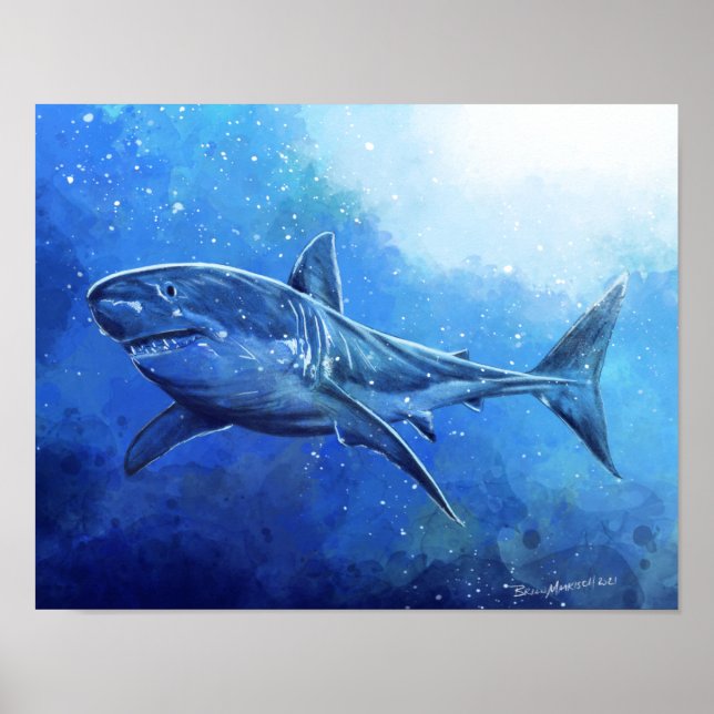 Poster Grand requin blanc (Devant)