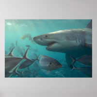 Grand requin blanc et poissons paysage sous-marin