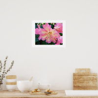 Grand Rhododendron Rose Fleurit Photographie Flora