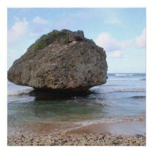 Poster Grand rocher de la Barbade à Bathsheba 