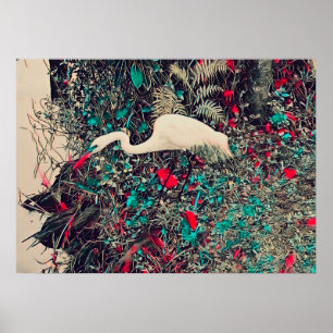 Poster Grand rouge d'aigrettes