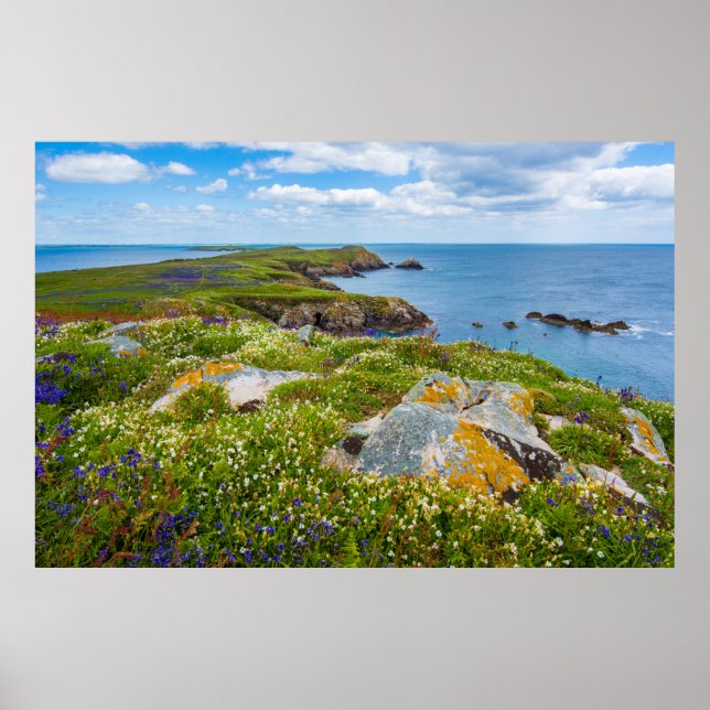 POSTER GRAND SALTEE, ÎLES SALTEE, IRLANDE (Devant)