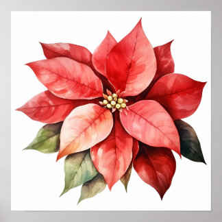 Poster Grande Belle Fleur de Noël Rouge